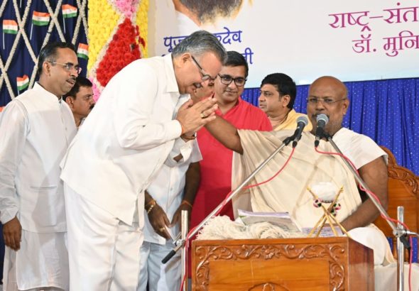 Raman Singh file image